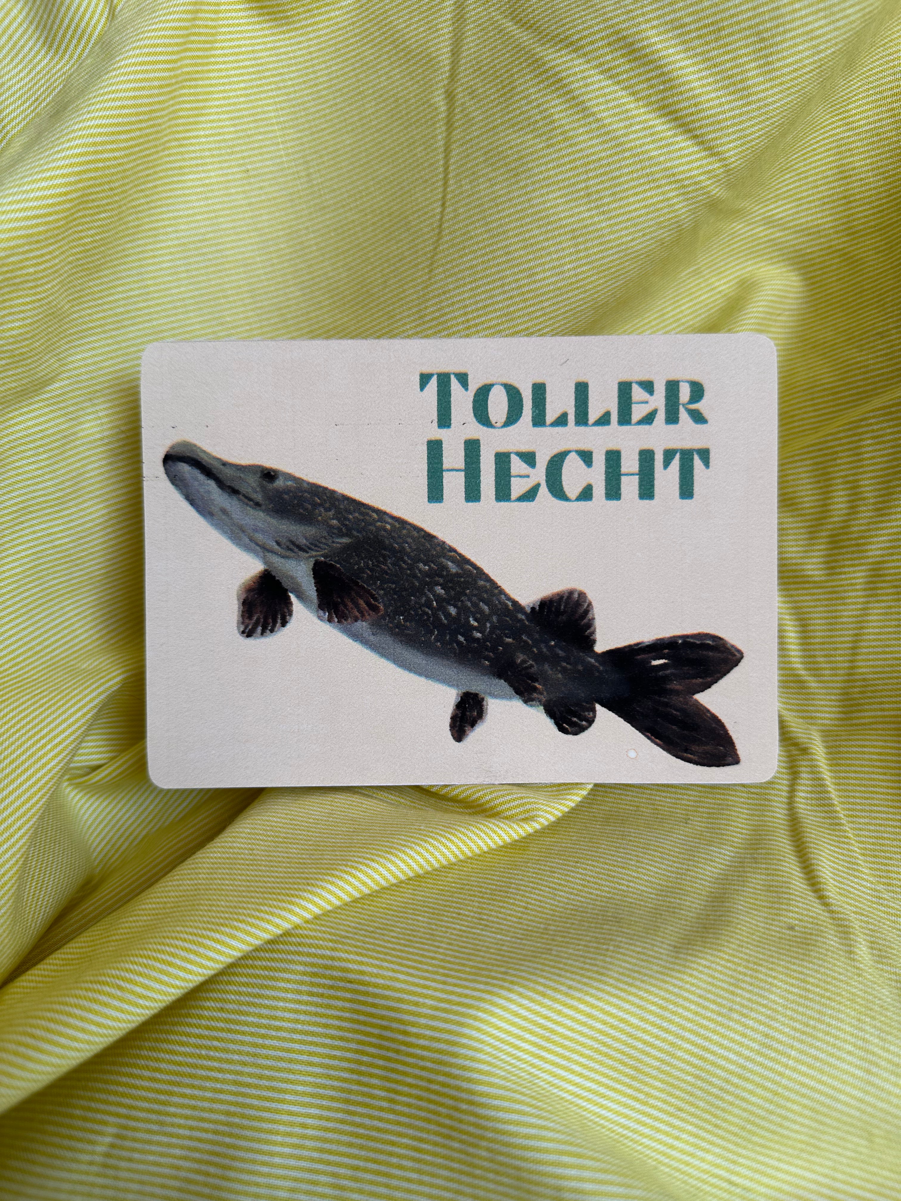 Postkarte „Toller Hecht“